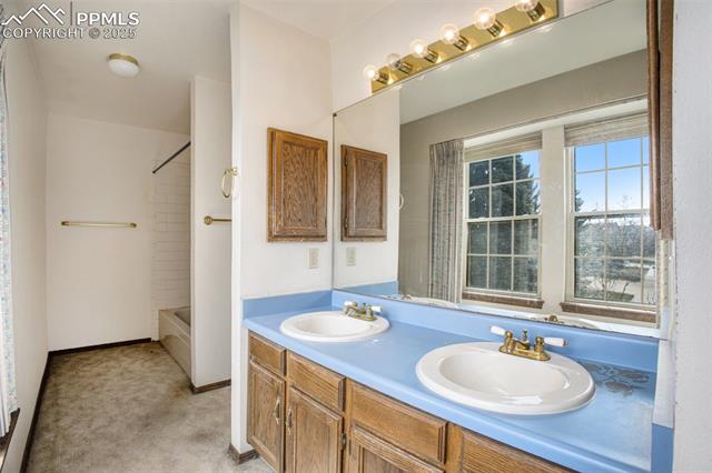 MLS Image for 2710  Boleyn  ,Colorado Springs, Colorado