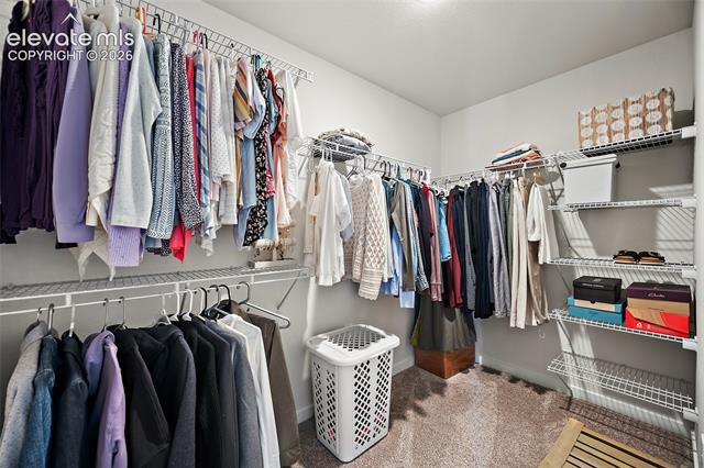 MLS Image for 7631  Sun Shimmer  ,Colorado Springs, Colorado