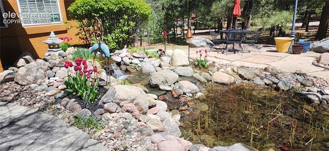 MLS Image for 19670  Blue Clover  ,Monument, Colorado