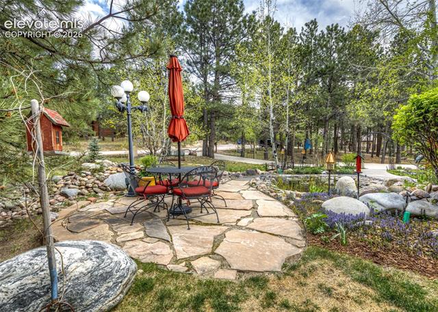 MLS Image for 19670  Blue Clover  ,Monument, Colorado