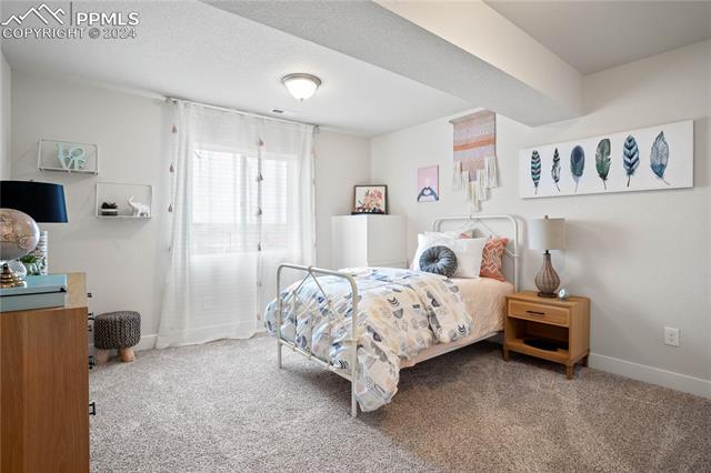 MLS Image for 11349  Rushpink  ,Colorado Springs, Colorado