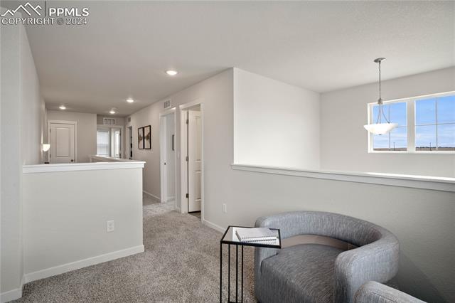 MLS Image for 11349  Rushpink  ,Colorado Springs, Colorado