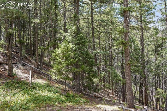 MLS Image for 15947 S Perry Park  ,Larkspur, Colorado