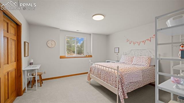 MLS Image for 9710  Brassie  ,Colorado Springs, Colorado