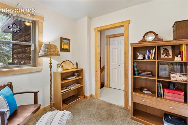 MLS Image for 135  Daniwood  ,Florissant, Colorado