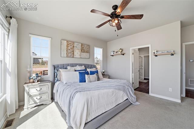 MLS Image for 1444  Captiva Beach  ,Monument, Colorado