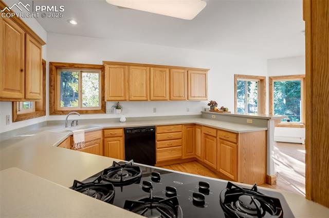 MLS Image for 931  Heather  ,Woodland Park, Colorado