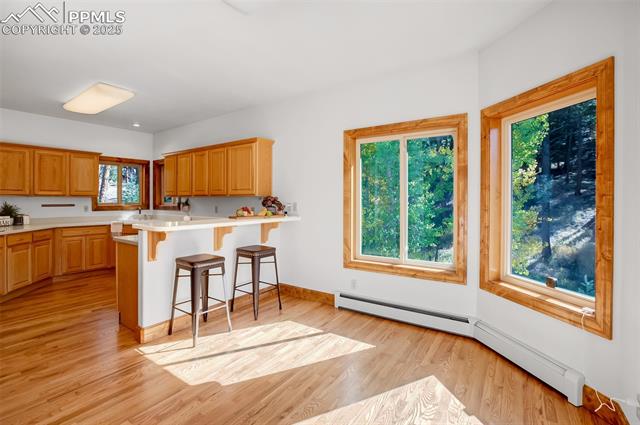 MLS Image for 931  Heather  ,Woodland Park, Colorado