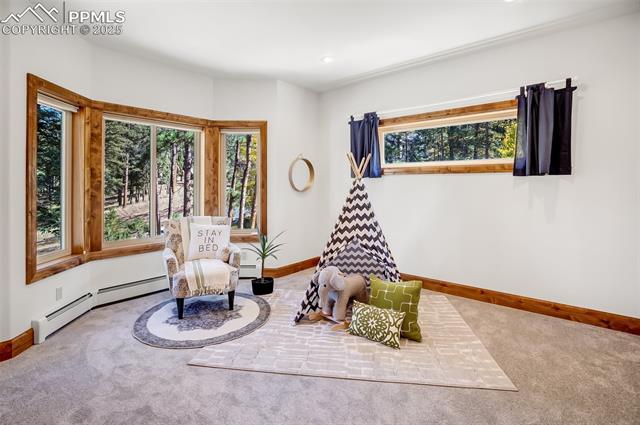 MLS Image for 931  Heather  ,Woodland Park, Colorado