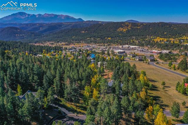 MLS Image for 931  Heather  ,Woodland Park, Colorado