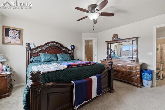 MLS Image for 7738  Crestone Peak  ,Colorado Springs, Colorado