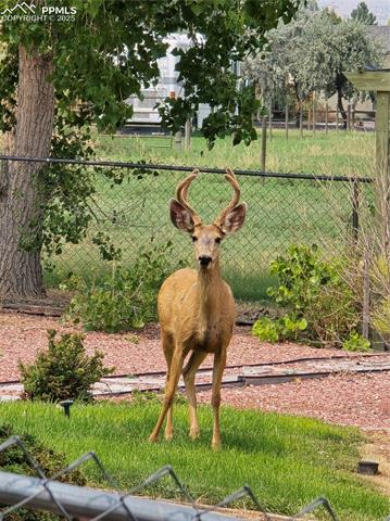 MLS Image for 413 E Maher  ,Pueblo, Colorado