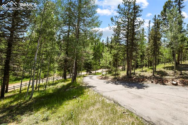 MLS Image for 502  Spruce Lake  ,Divide, Colorado