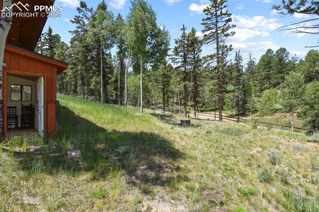 MLS Image for 502  Spruce Lake  ,Divide, Colorado