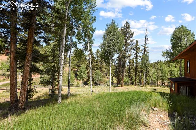 MLS Image for 502  Spruce Lake  ,Divide, Colorado