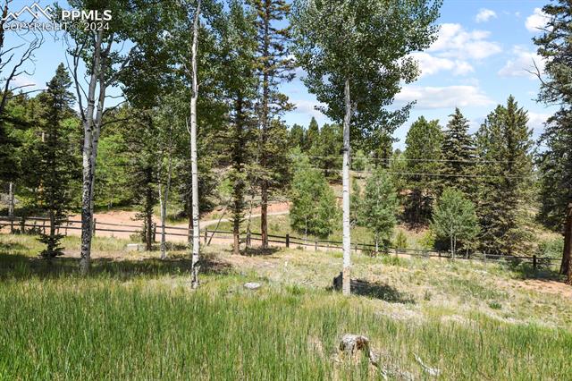 MLS Image for 502  Spruce Lake  ,Divide, Colorado