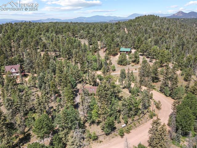 MLS Image for 502  Spruce Lake  ,Divide, Colorado