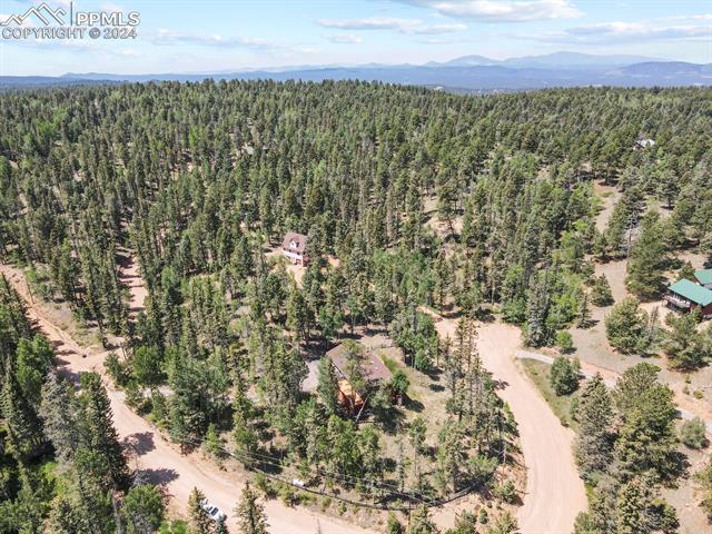 MLS Image for 502  Spruce Lake  ,Divide, Colorado