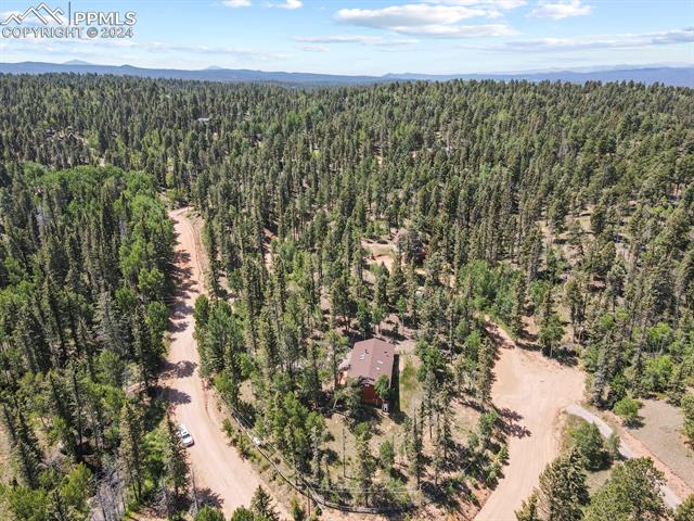 MLS Image for 502  Spruce Lake  ,Divide, Colorado