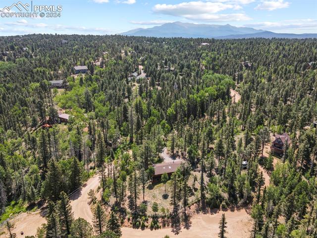 MLS Image for 502  Spruce Lake  ,Divide, Colorado