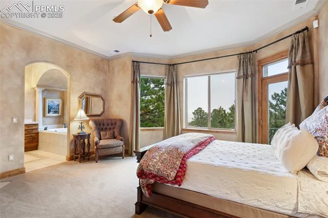 MLS Image for 5945  Buttermere  ,Colorado Springs, Colorado