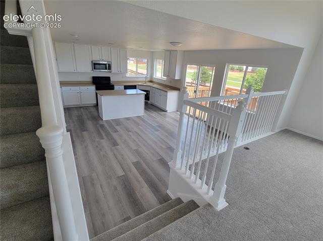 MLS Image for 10025  everglades  ,Colorado Springs, Colorado