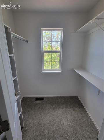 MLS Image for 10025  everglades  ,Colorado Springs, Colorado