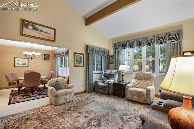 MLS Image for 1509  Sunshine  ,Woodland Park, Colorado
