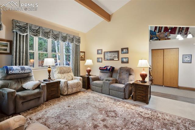 MLS Image for 1509  Sunshine  ,Woodland Park, Colorado