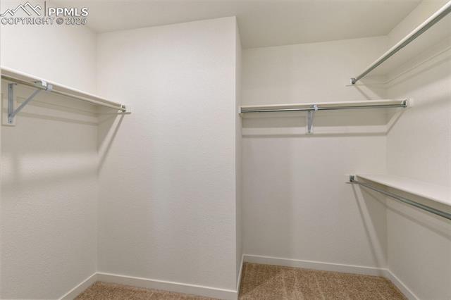 MLS Image for 6737  Raven Ridge  ,Colorado Springs, Colorado