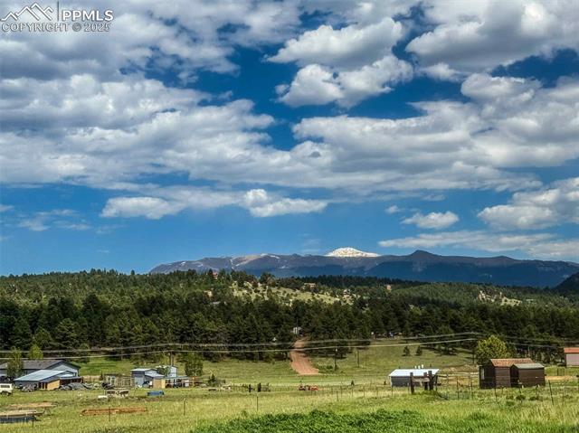 MLS Image for 241  Calle De La Lluvia  ,Florissant, Colorado