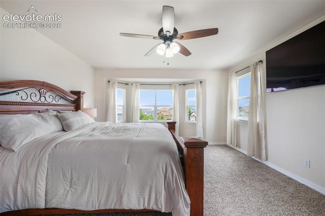 MLS Image for 199  Walters Creek  ,Monument, Colorado