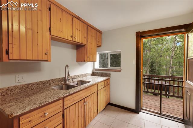 MLS Image for 9988 S Highway 67  ,Divide, Colorado