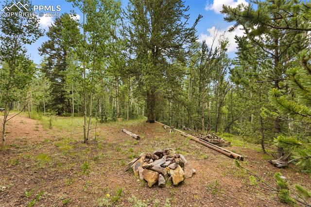 MLS Image for 9988 S Highway 67  ,Divide, Colorado