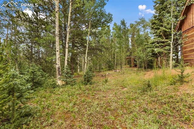 MLS Image for 9988 S Highway 67  ,Divide, Colorado