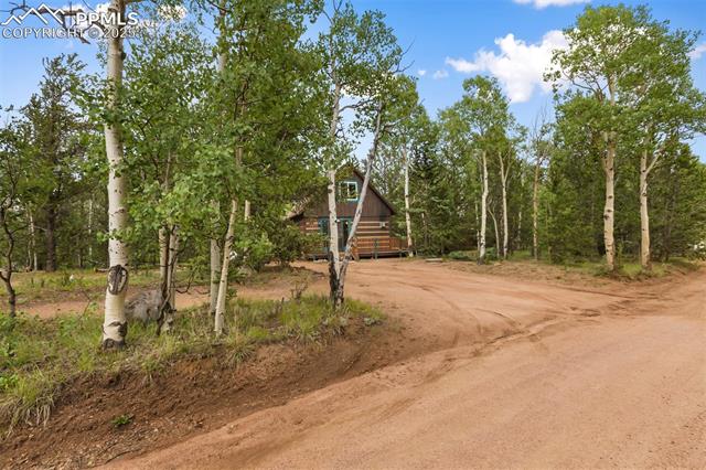 MLS Image for 9988 S Highway 67  ,Divide, Colorado