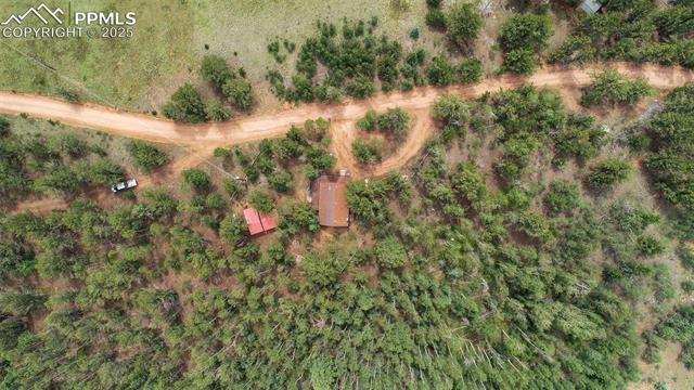 MLS Image for 9988 S Highway 67  ,Divide, Colorado