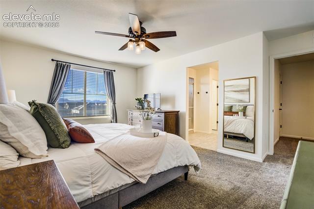 MLS Image for 6374  Moate  ,Colorado Springs, Colorado