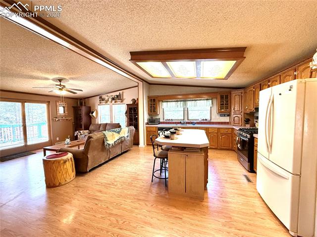 MLS Image for 17  Amanda  ,Florissant, Colorado