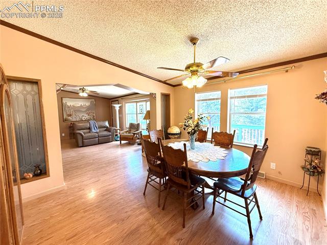MLS Image for 17  Amanda  ,Florissant, Colorado
