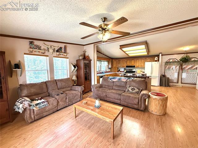 MLS Image for 17  Amanda  ,Florissant, Colorado