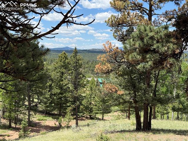 MLS Image for 17  Amanda  ,Florissant, Colorado