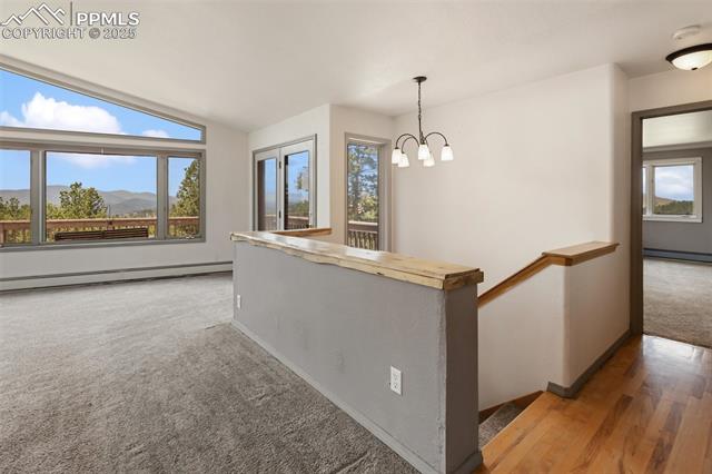 MLS Image for 517  Drees  ,Florissant, Colorado