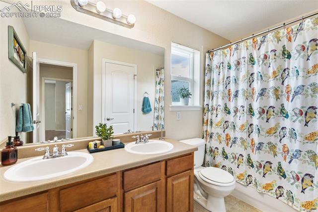 MLS Image for 6725  Wild Indigo  ,Colorado Springs, Colorado