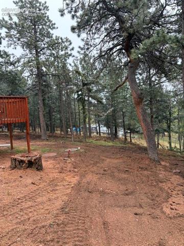 MLS Image for 110  Gentian  ,Woodland Park, Colorado