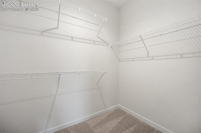MLS Image for 7923  Progeny  ,Colorado Springs, Colorado