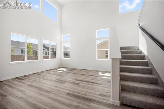 MLS Image for 7923  Progeny  ,Colorado Springs, Colorado
