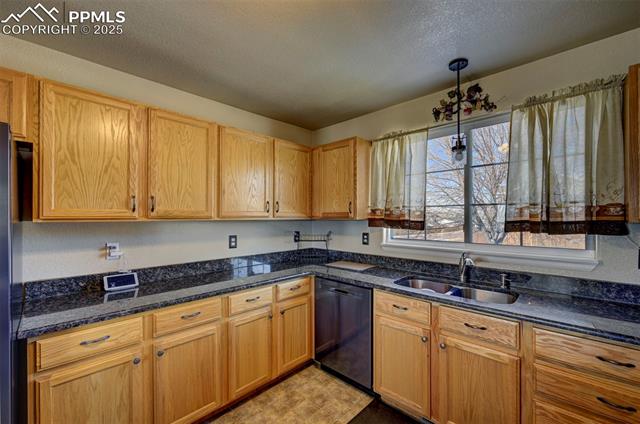 MLS Image for 6015  Passing Sky  ,Colorado Springs, Colorado