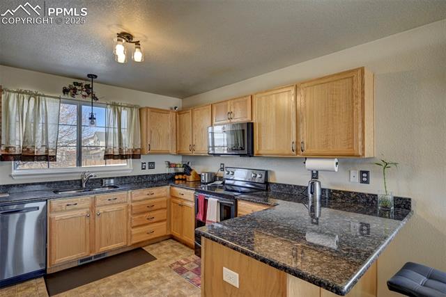 MLS Image for 6015  Passing Sky  ,Colorado Springs, Colorado