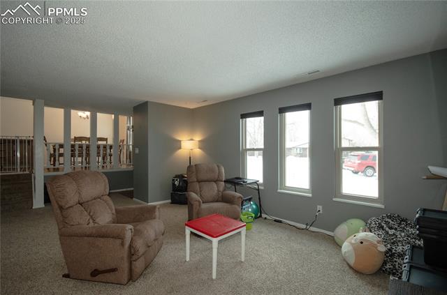 MLS Image for 4625  Whimsical  ,Colorado Springs, Colorado